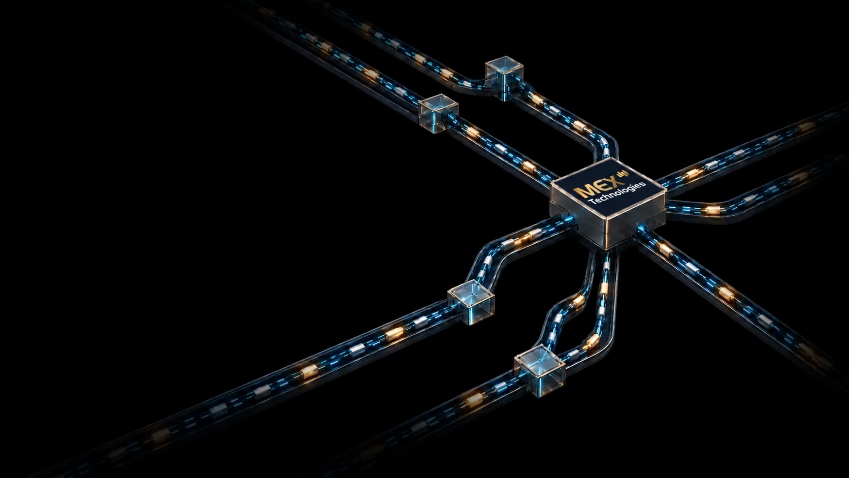 Illustration of a central settlement hub connecting institutional member profiles
